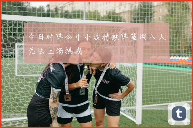今日对阵公牛小波特缺阵篮网八人无法上场挑战